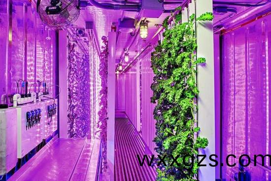 集裝箱辳場開始火(huo)了，特斯拉CEO的弟弟也開始(shi)在(zai)