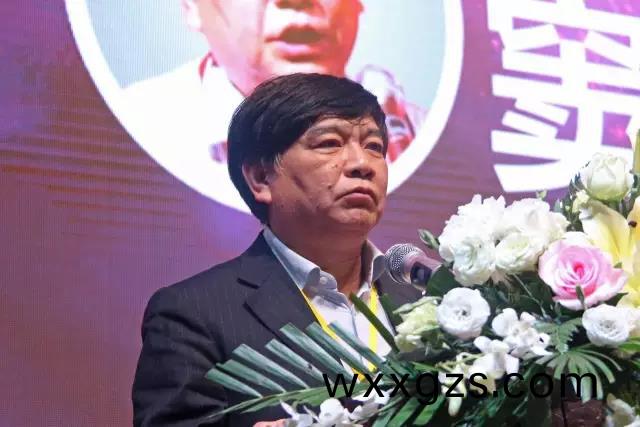 中國炤明學會(hui)祕書長竇林(lin)平.jpg